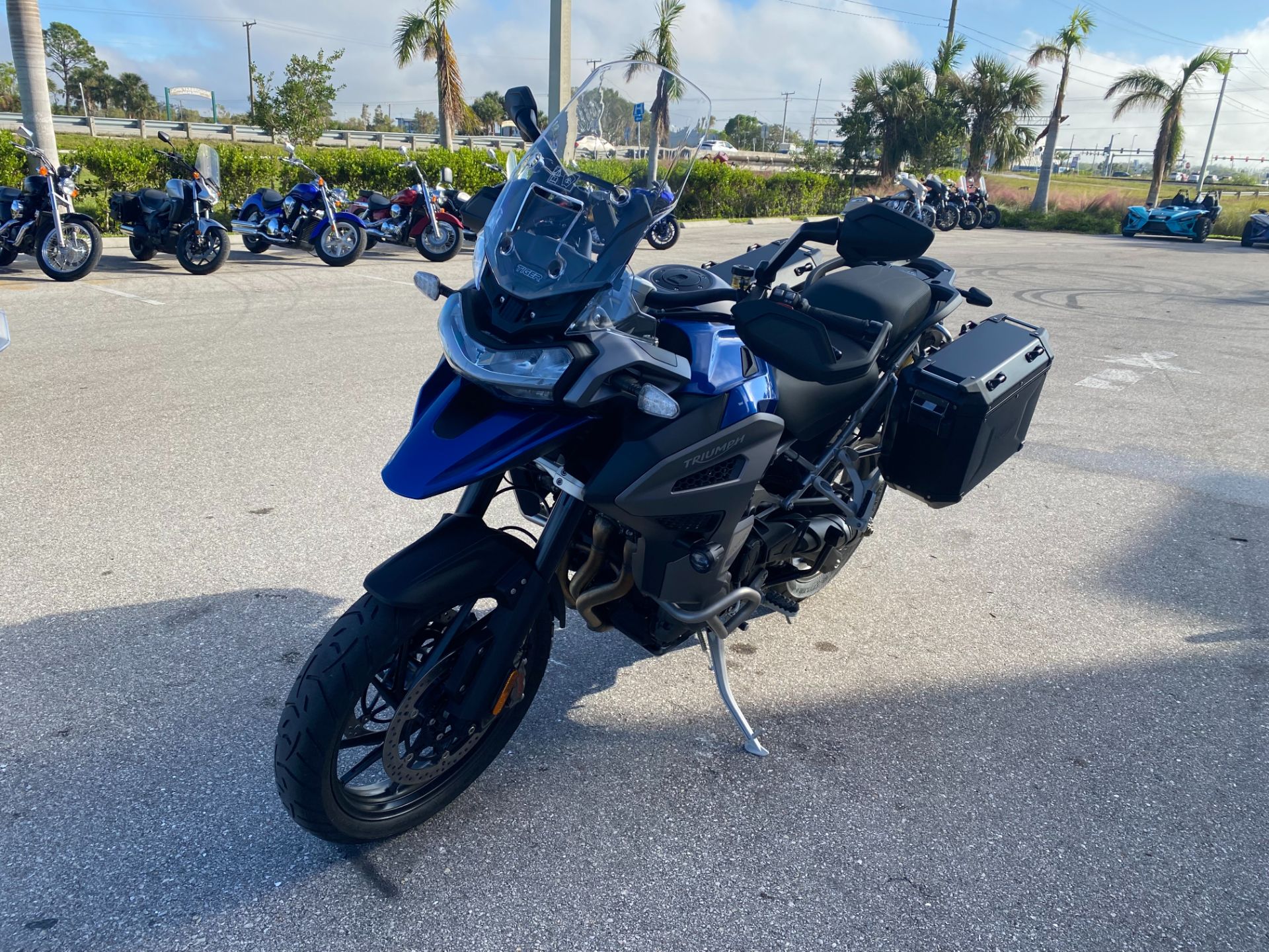 2023 Triumph Tiger 1200 GT Explorer in Fort Myers, Florida - Photo 7