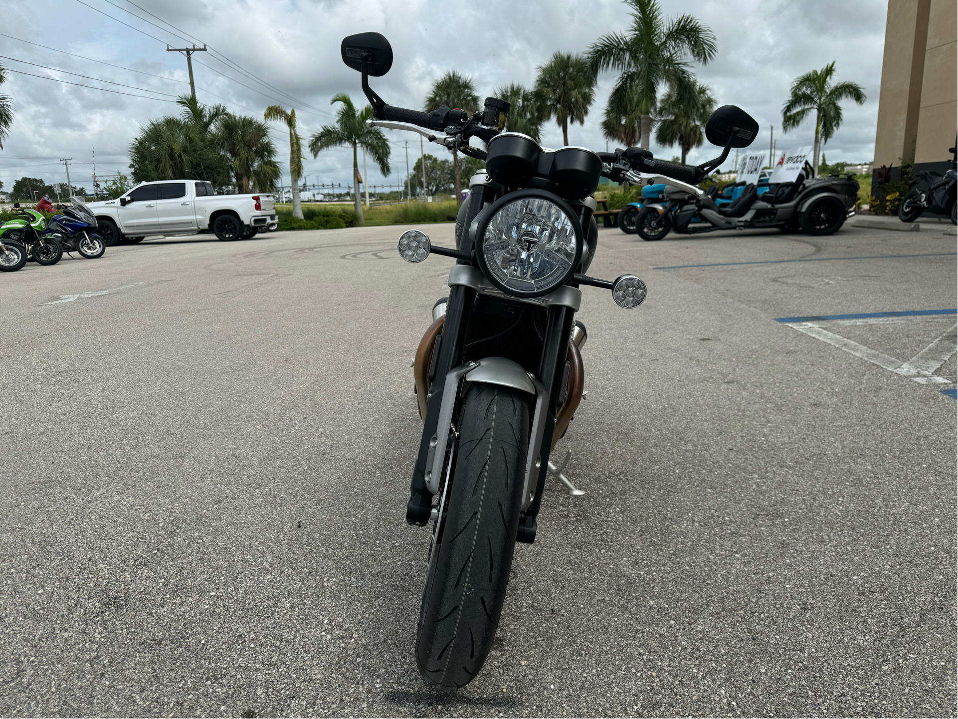 2024 Triumph Speed Twin 1200 in Fort Myers, Florida - Photo 8