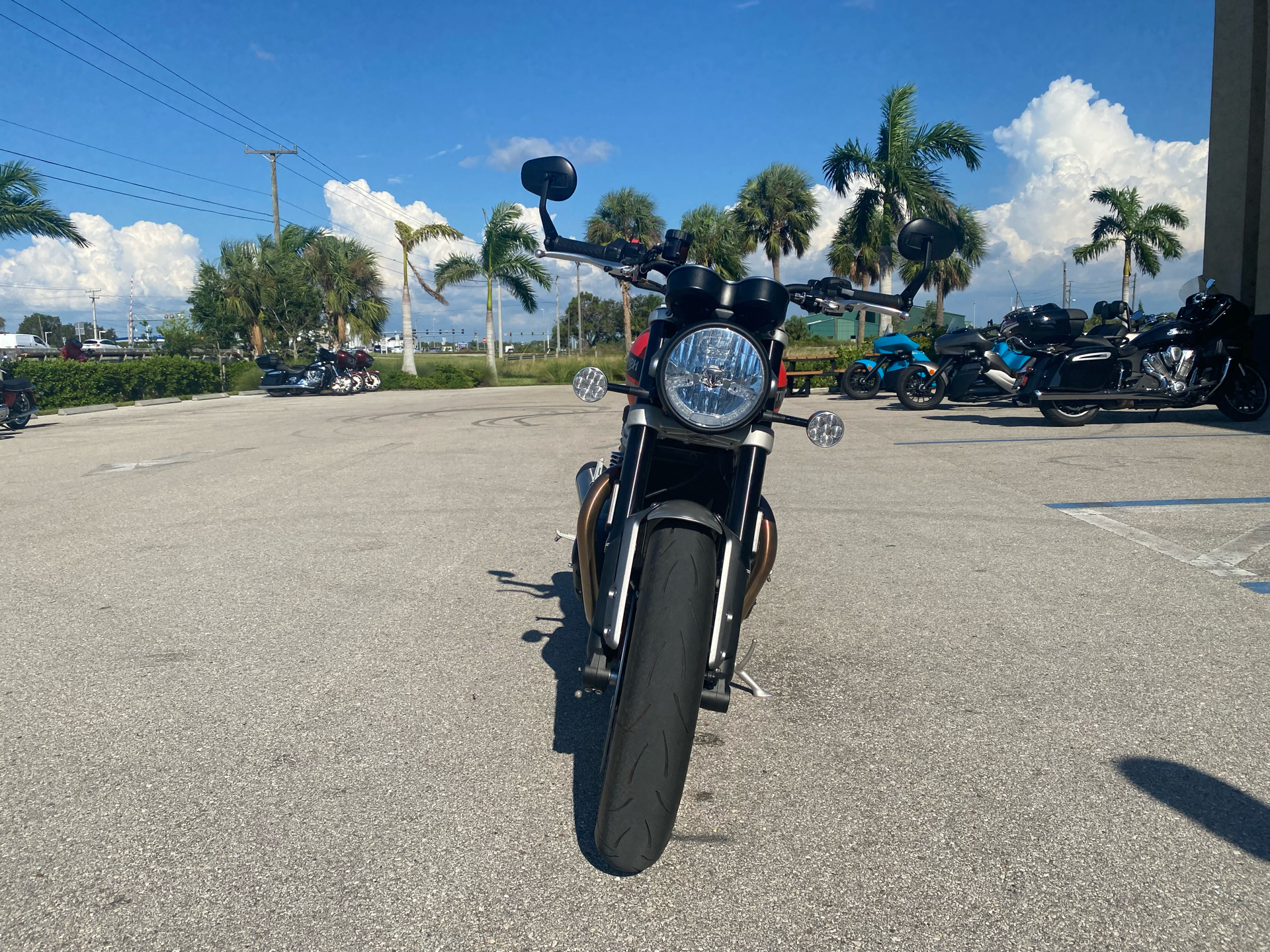2023 Triumph Speed Twin 1200 in Fort Myers, Florida - Photo 8