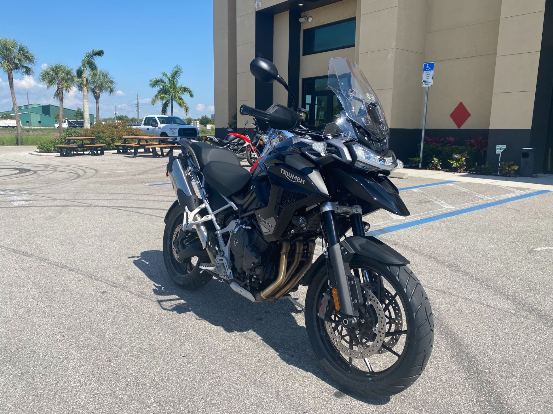 2023 Triumph Tiger 1200 GT Pro in Fort Myers, Florida - Photo 9