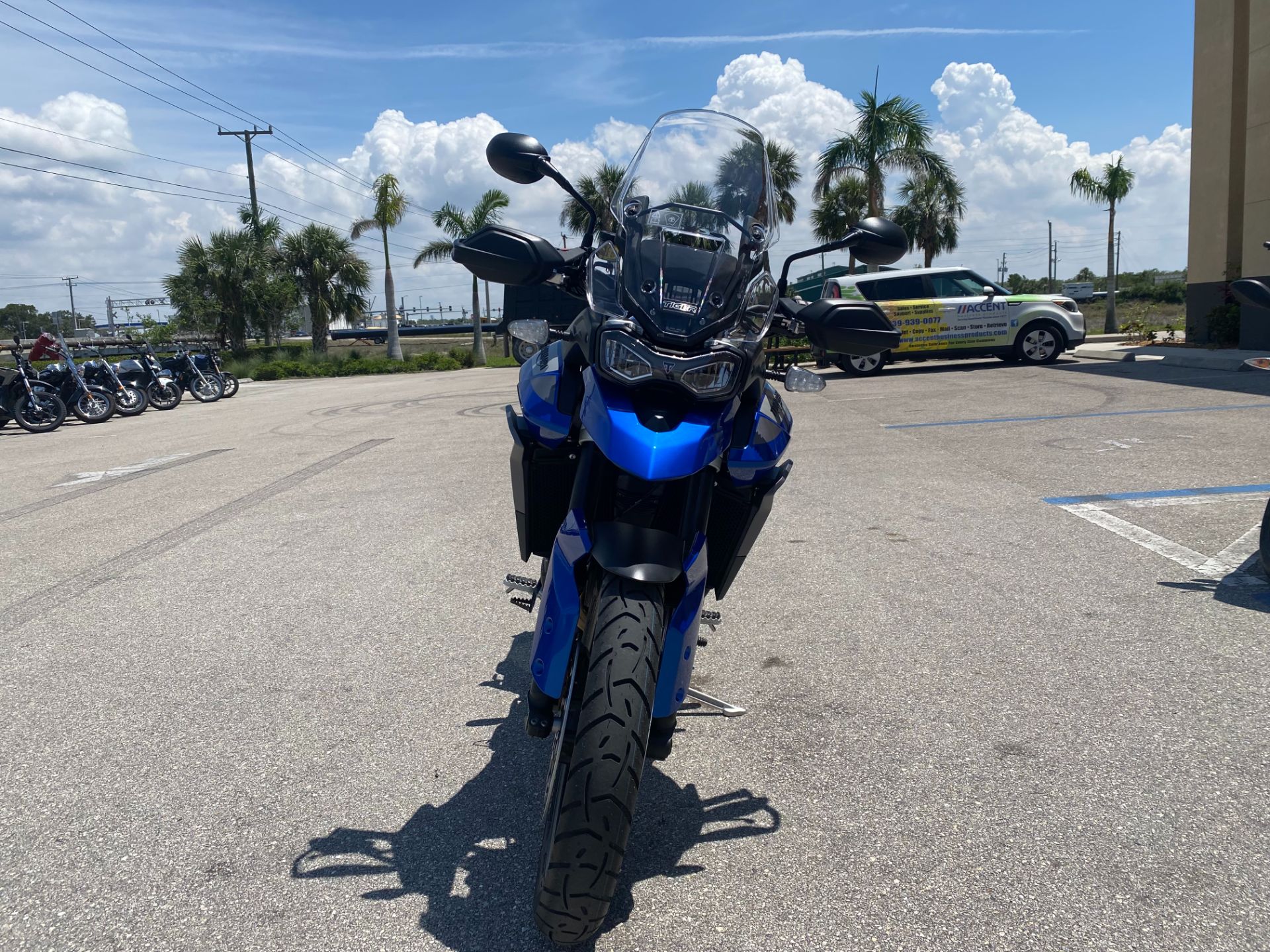 2023 Triumph Tiger 900 GT Low in Fort Myers, Florida - Photo 8