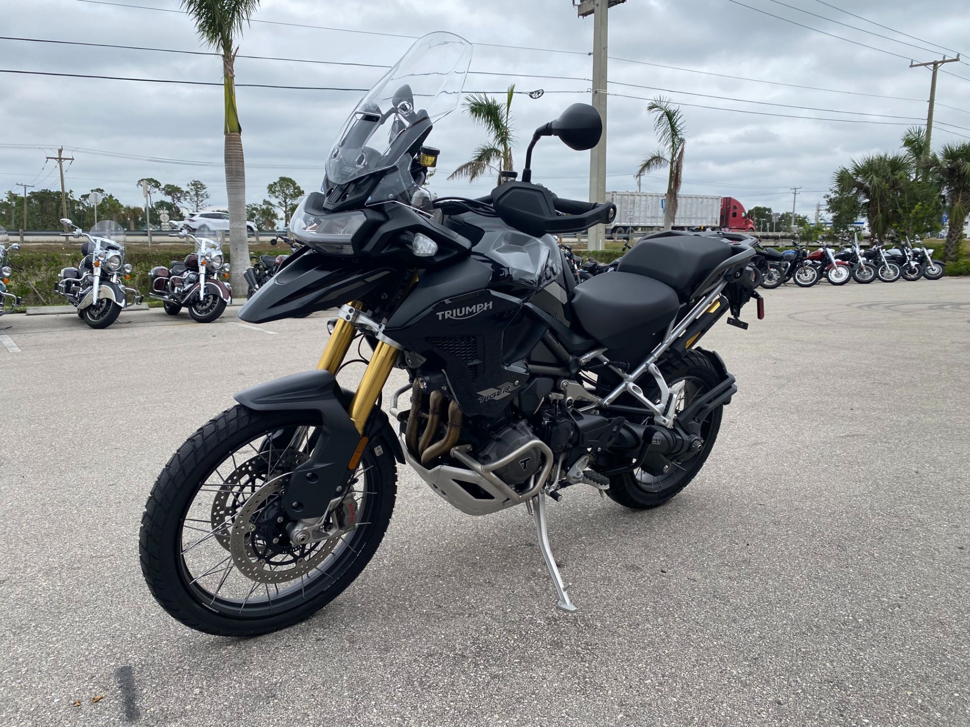 2023 Triumph Tiger 1200 Rally Pro in Fort Myers, Florida - Photo 7