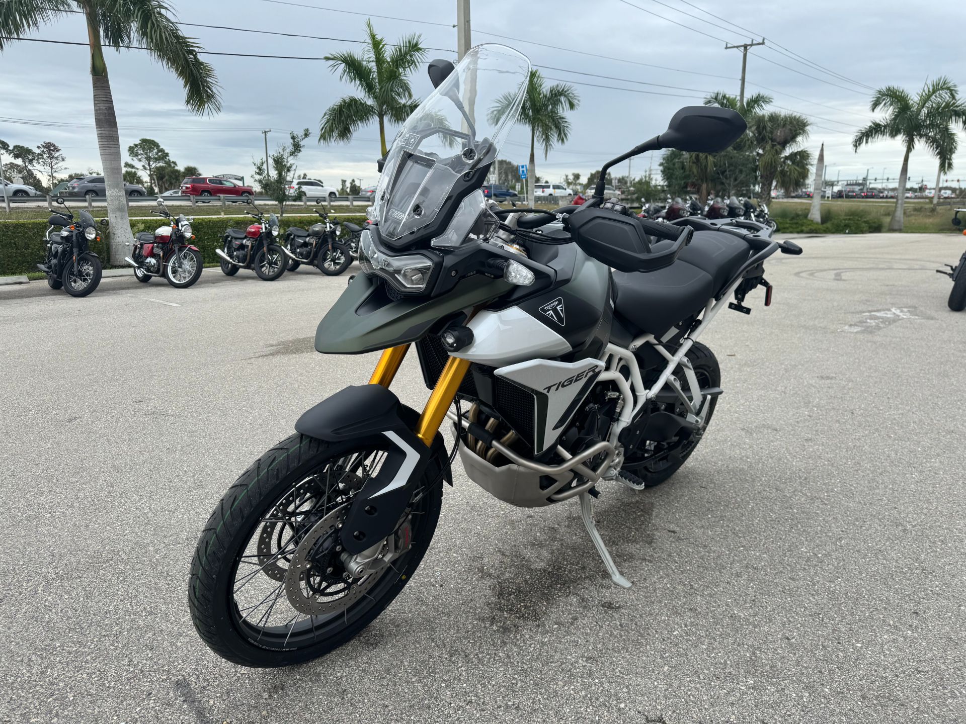 2024 Triumph Tiger 900 Rally Pro in Fort Myers, Florida - Photo 5