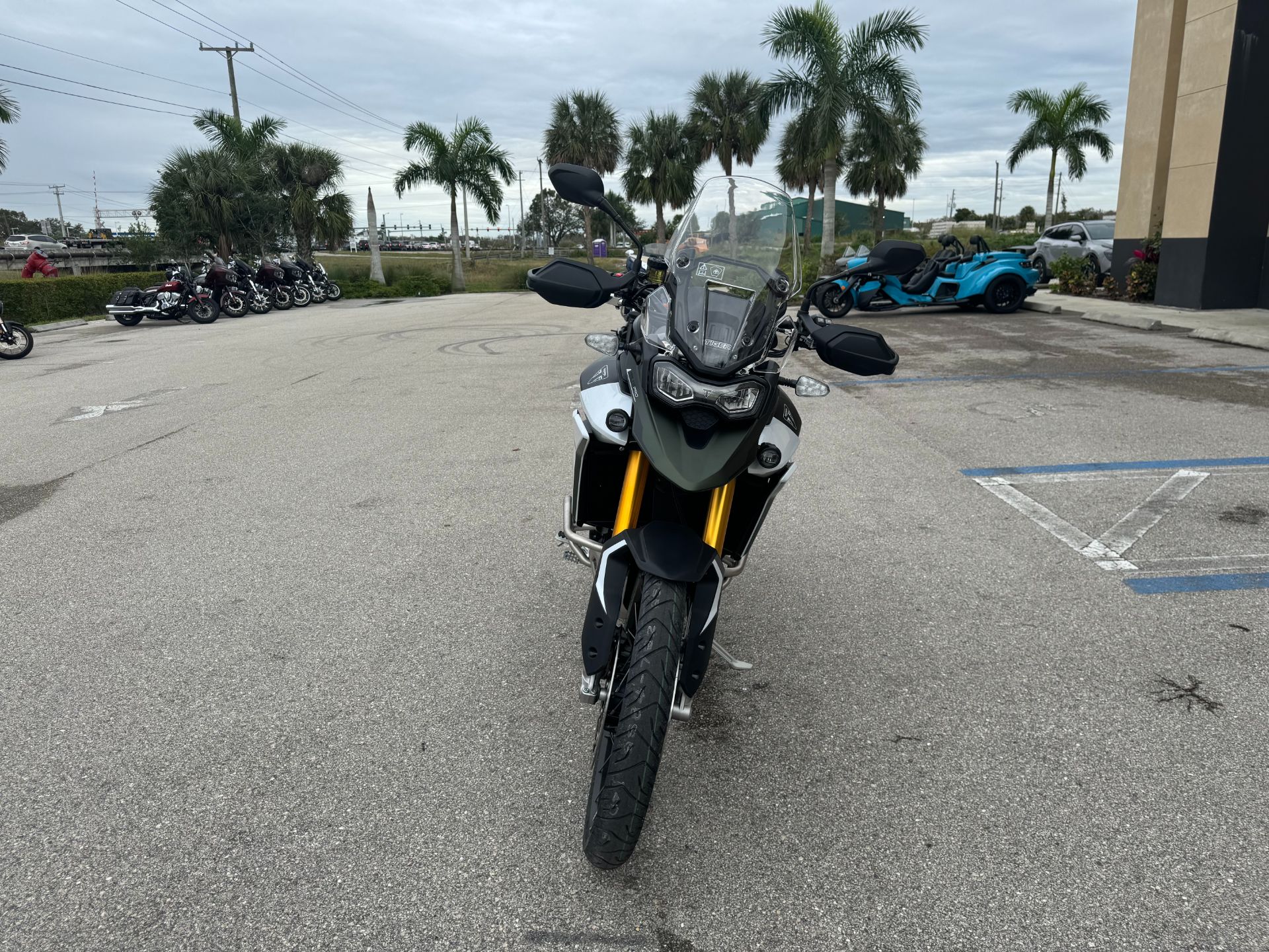2024 Triumph Tiger 900 Rally Pro in Fort Myers, Florida - Photo 6
