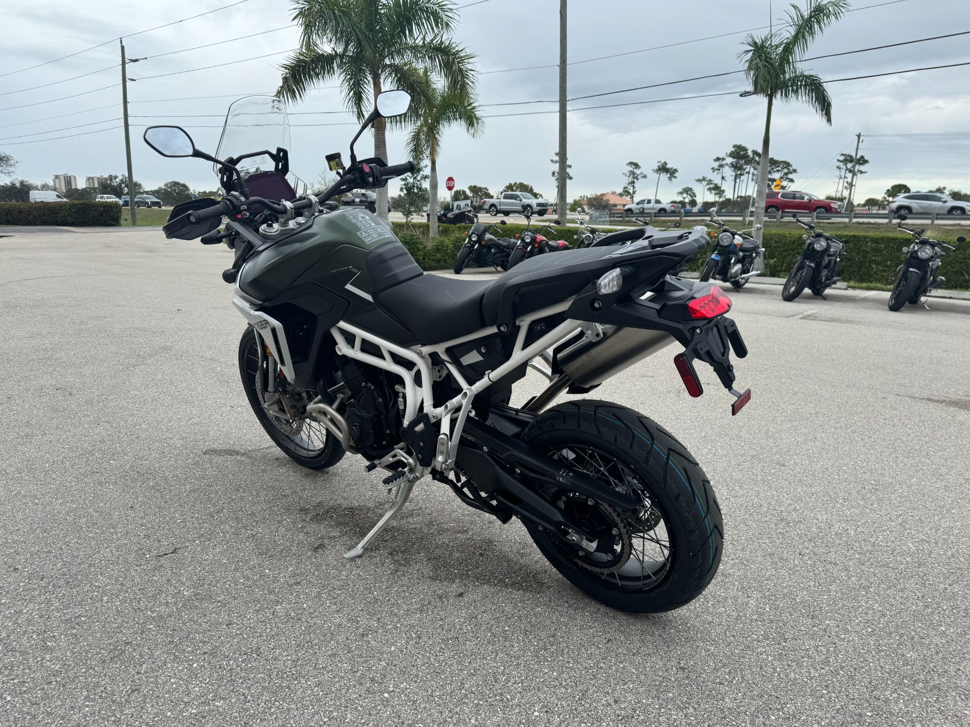 2024 Triumph Tiger 900 Rally Pro in Fort Myers, Florida - Photo 8