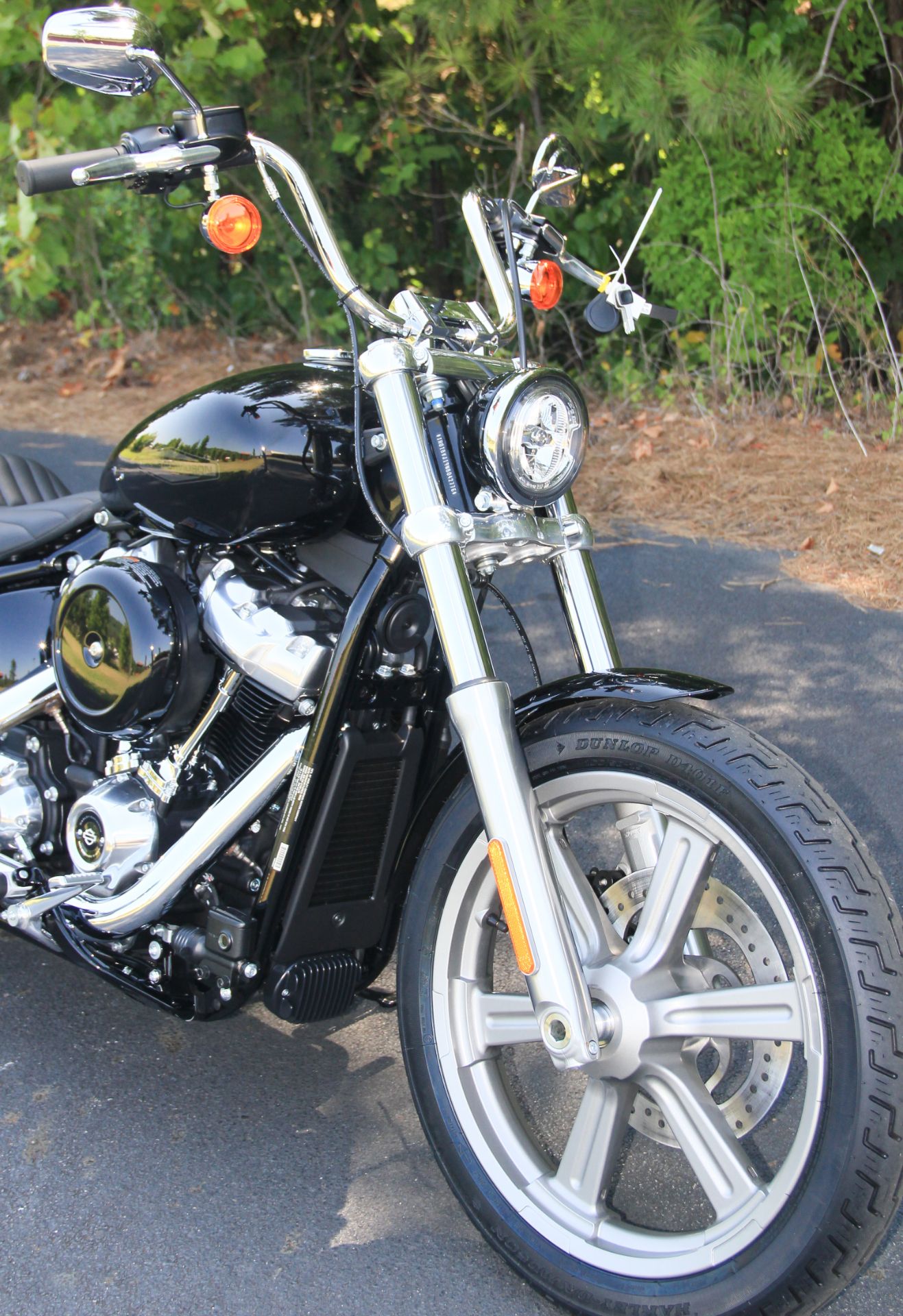 2022 Harley-Davidson Softail® Standard in Cartersville, Georgia - Photo 3