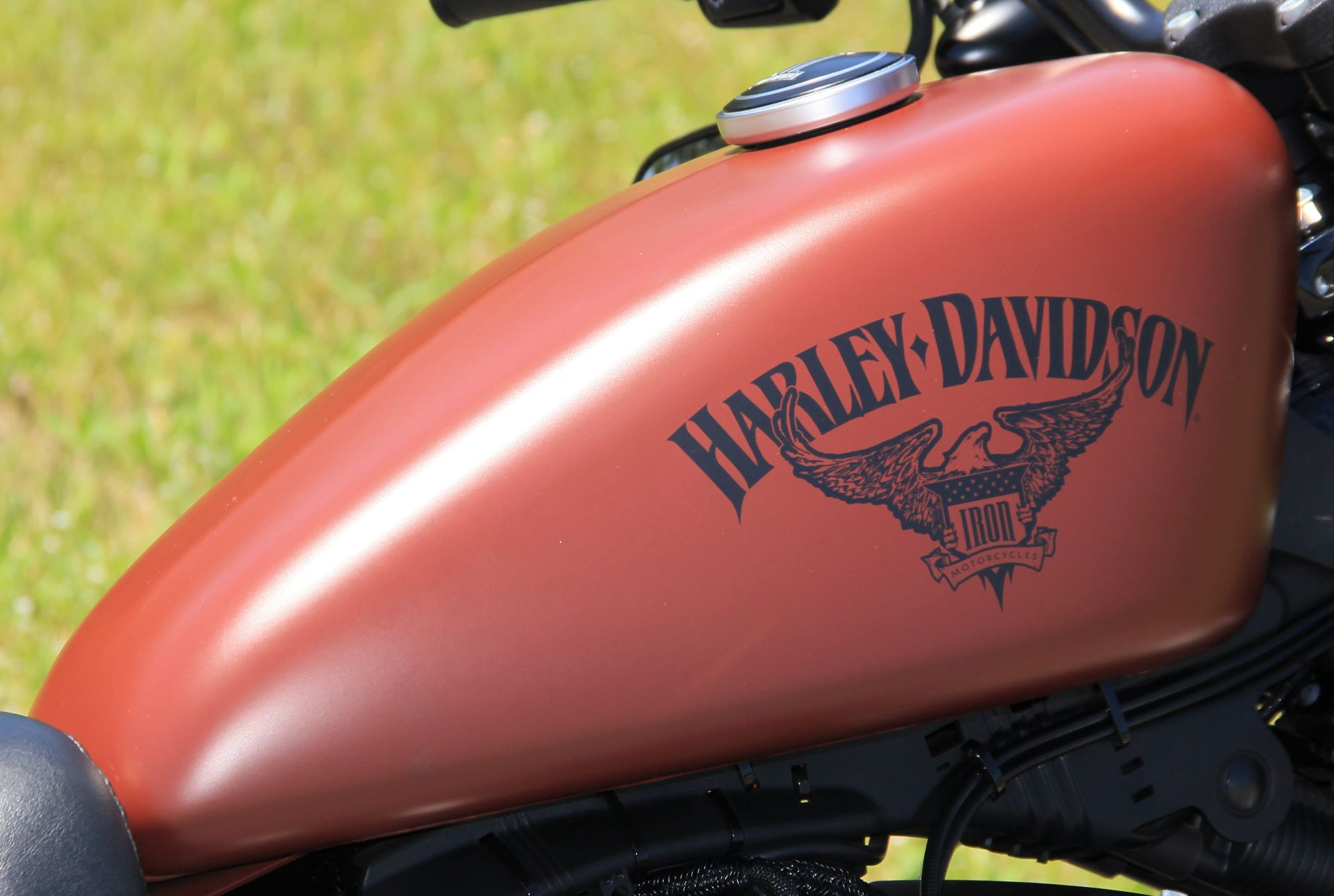 2017 Harley-Davidson 883 Iron in Cartersville, Georgia - Photo 10