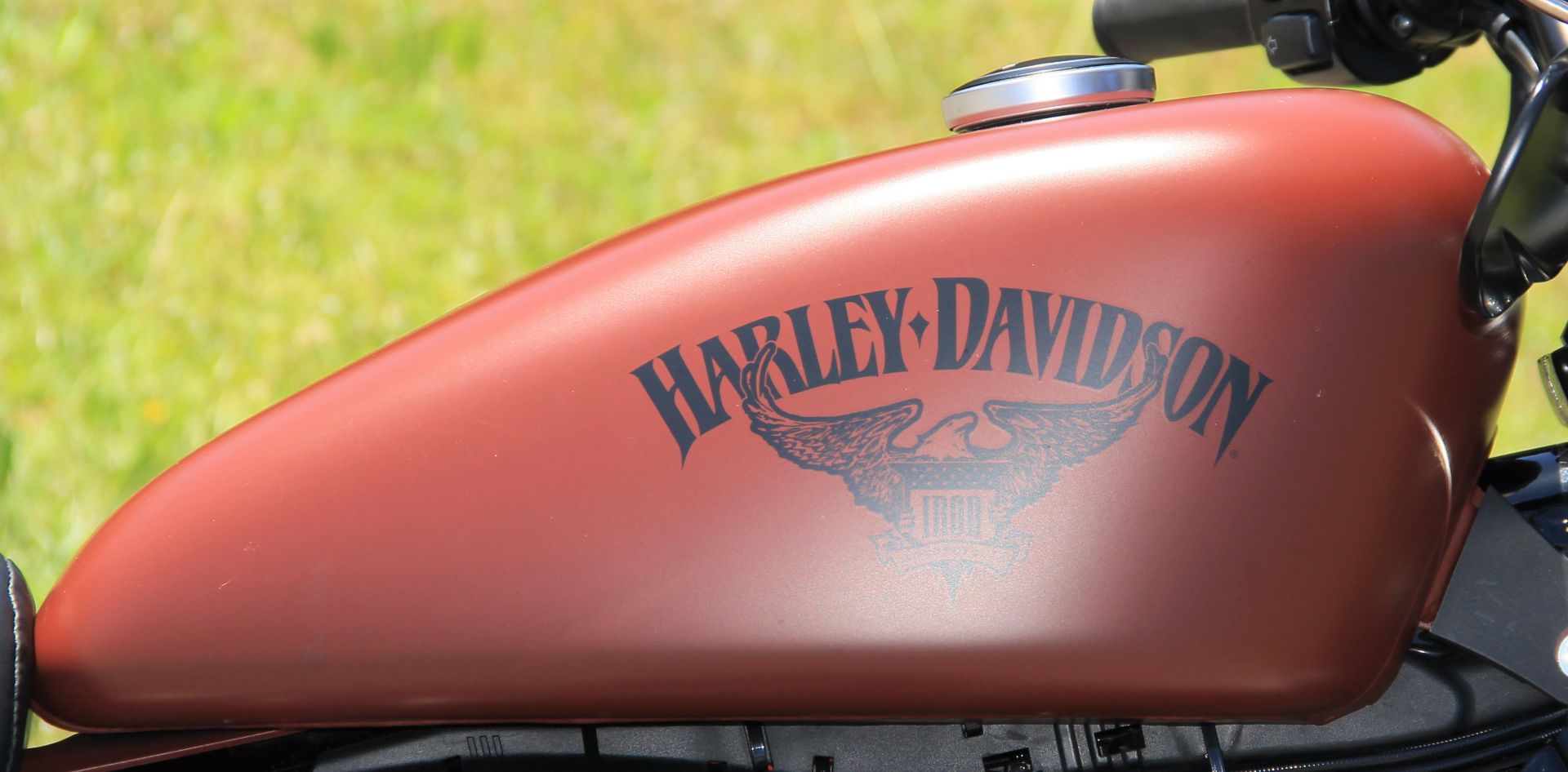 2017 Harley-Davidson 883 Iron in Cartersville, Georgia - Photo 11