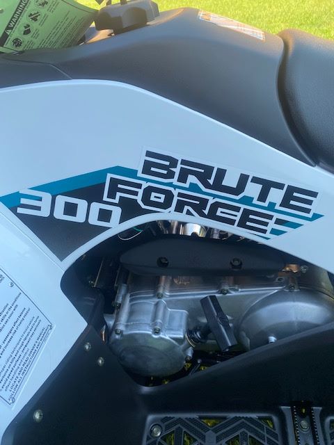 2023 Kawasaki Brute Force 300 in West Monroe, Louisiana - Photo 9