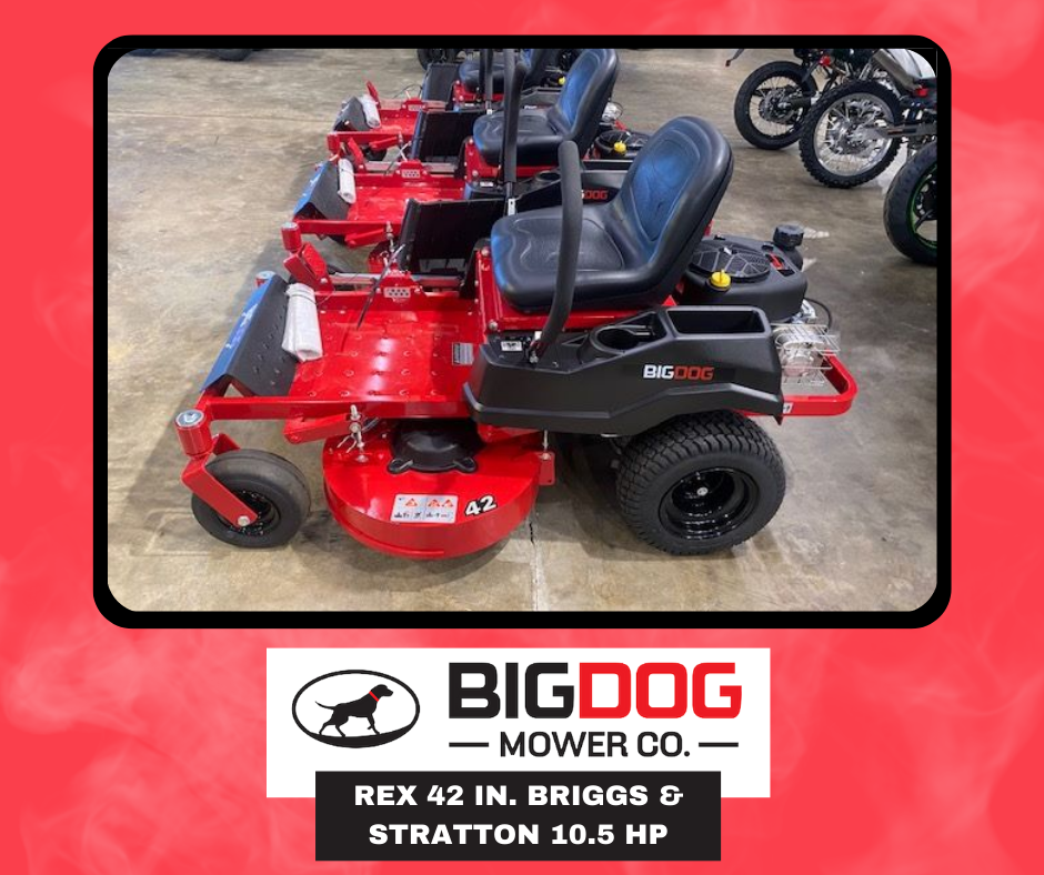 2021 Big Dog Mowers Rex 42 in. Briggs & Stratton 10.5 hp in West Monroe, Louisiana - Photo 1