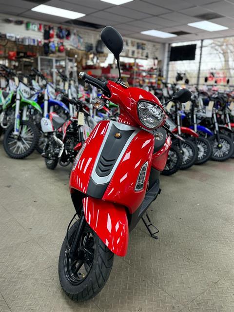 2023 Taizhou  JOC 50cc Scooter in Forest View, Illinois - Photo 1