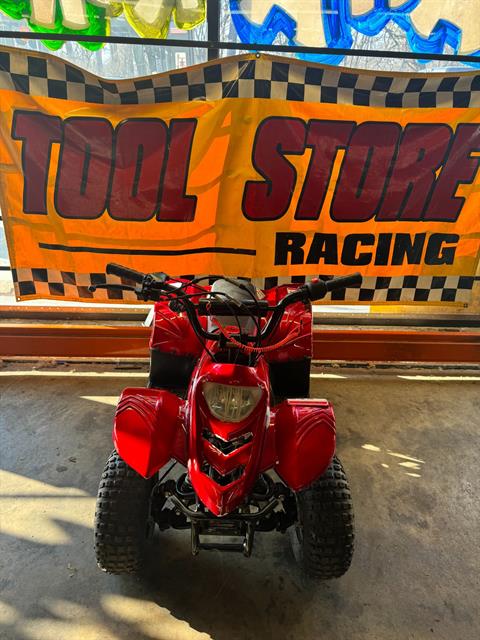 2013 Tao Tao 110cc in Forest View, Illinois - Photo 2