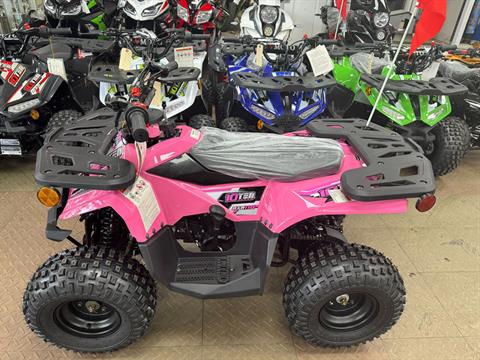 2022 Changying CY110 ATV-9 in Forest View, Illinois - Photo 3