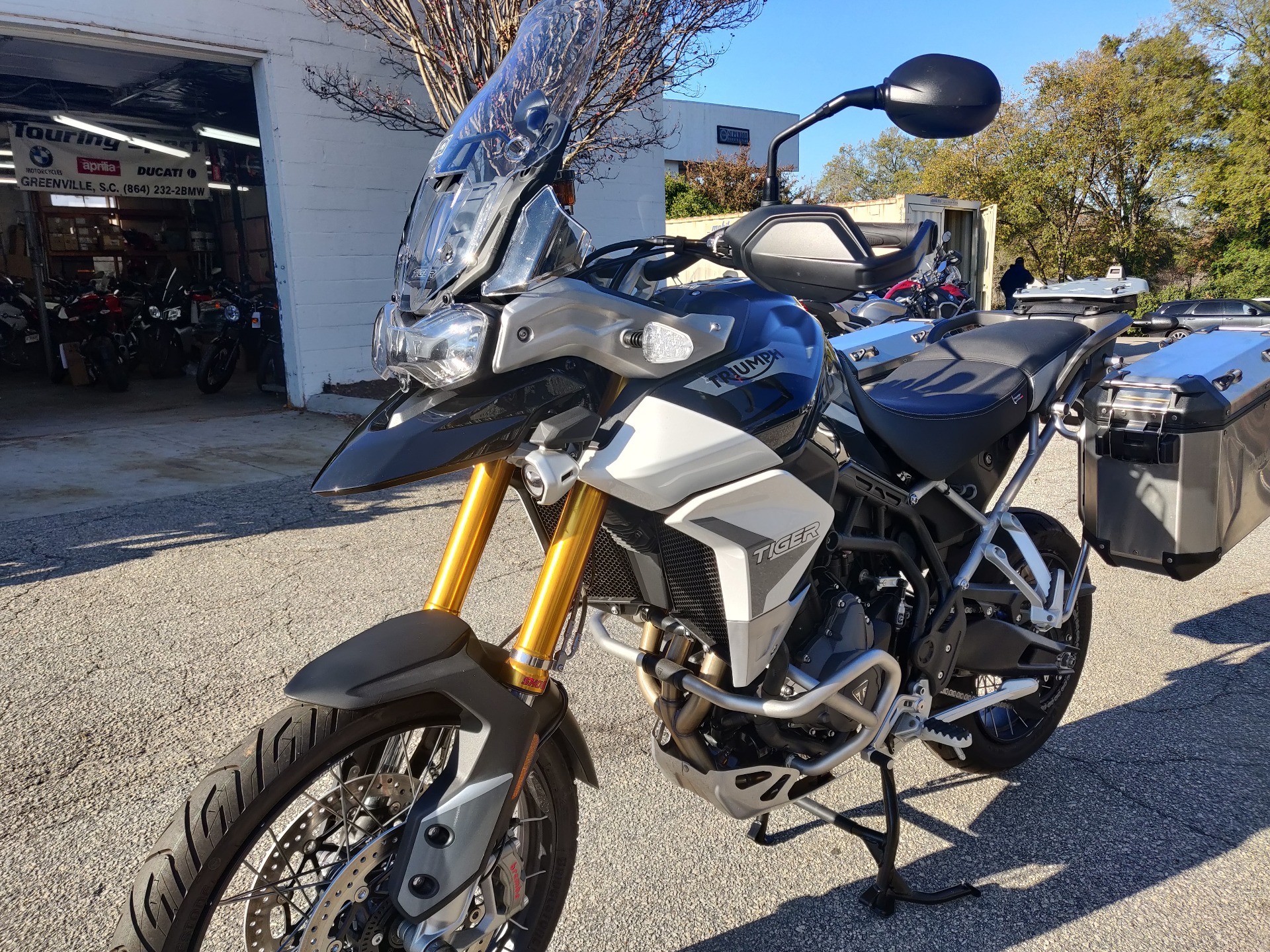 triumph tiger rally