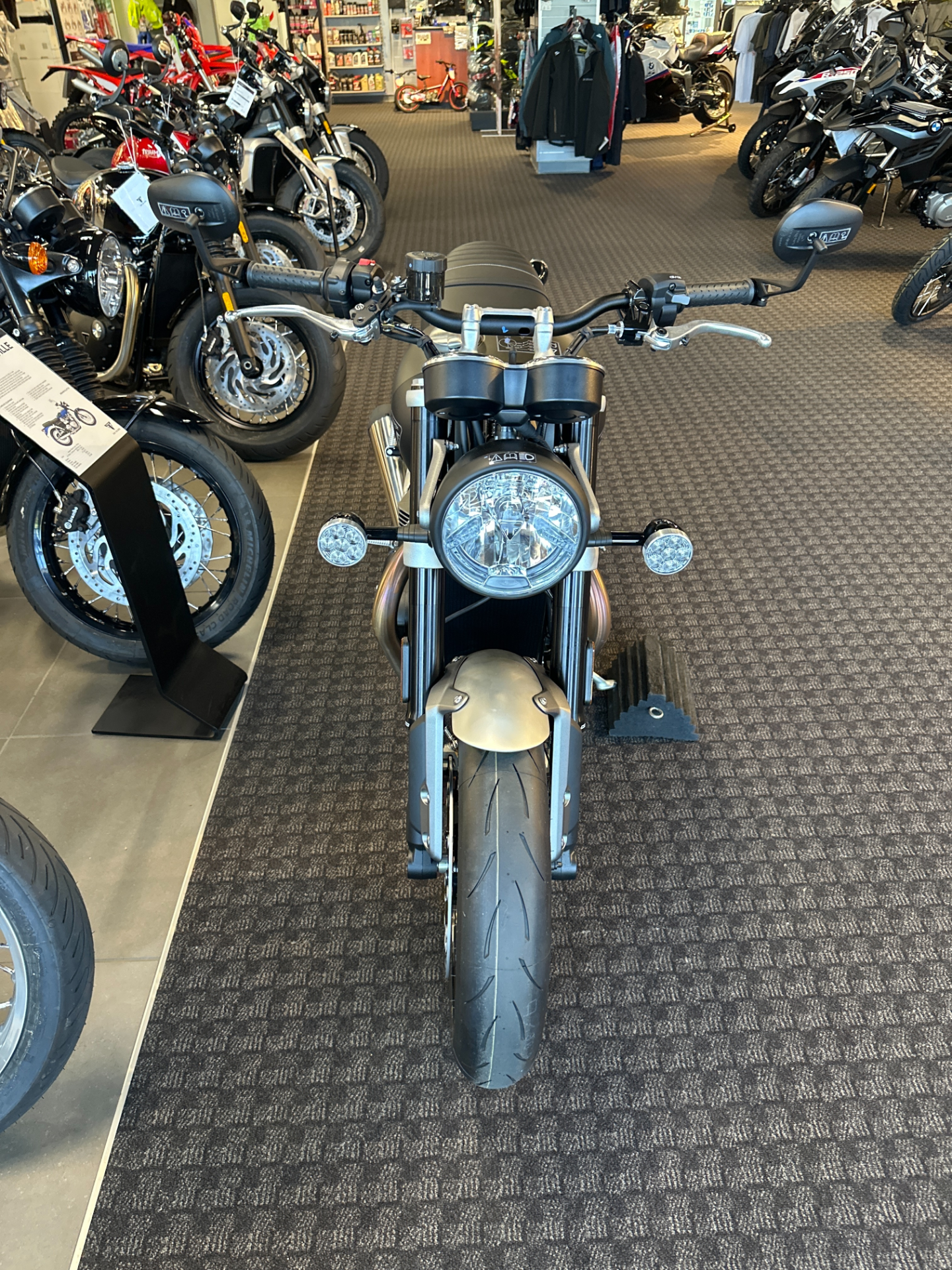 2024 Triumph Speed Twin 1200 in Salem, Virginia - Photo 3