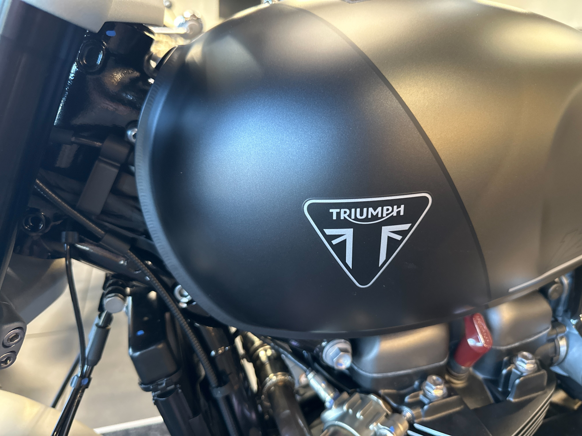 2024 Triumph Speed Twin 1200 in Salem, Virginia - Photo 8