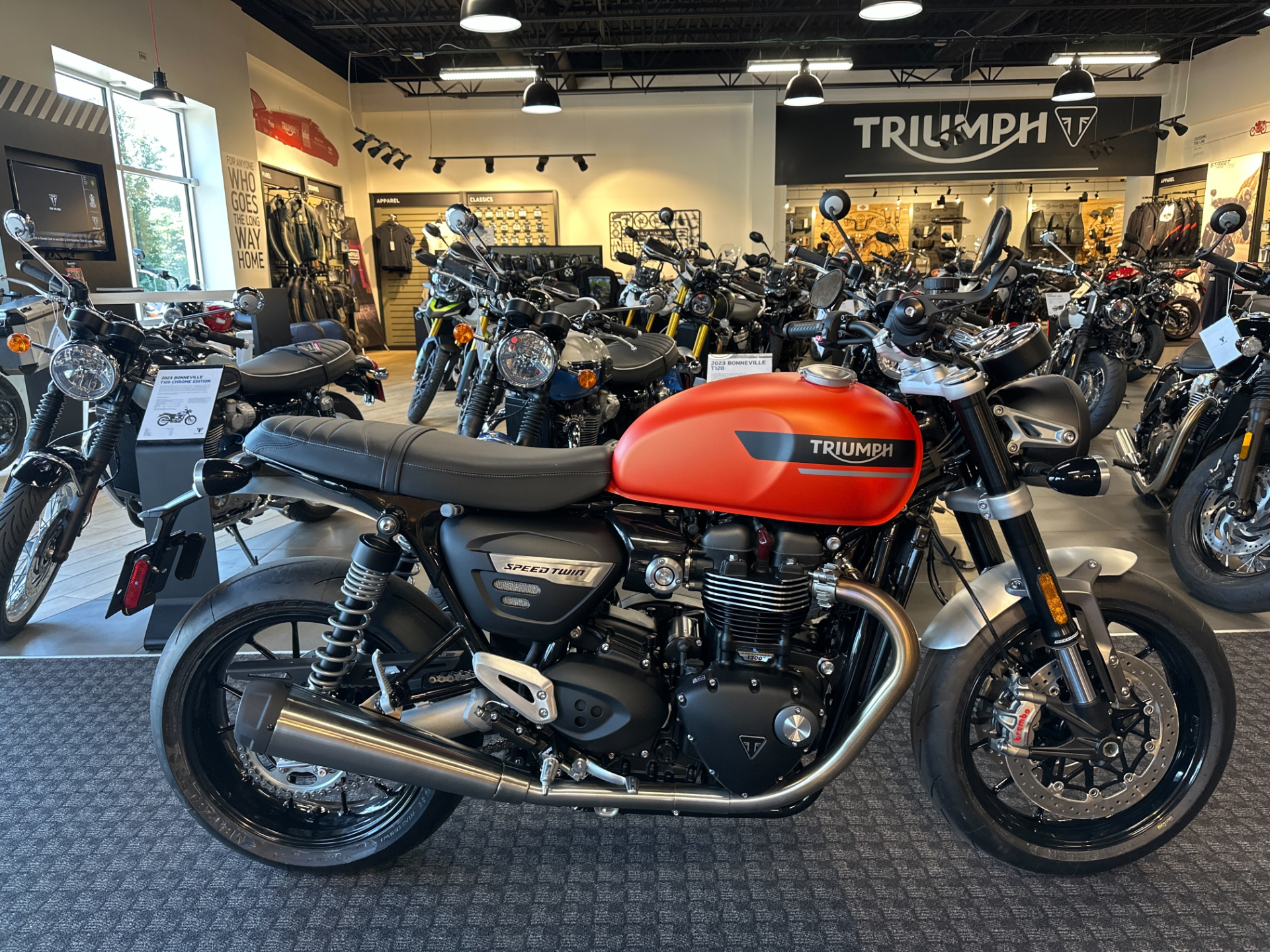 2023 Triumph Speed Twin 1200 in Salem, Virginia - Photo 1