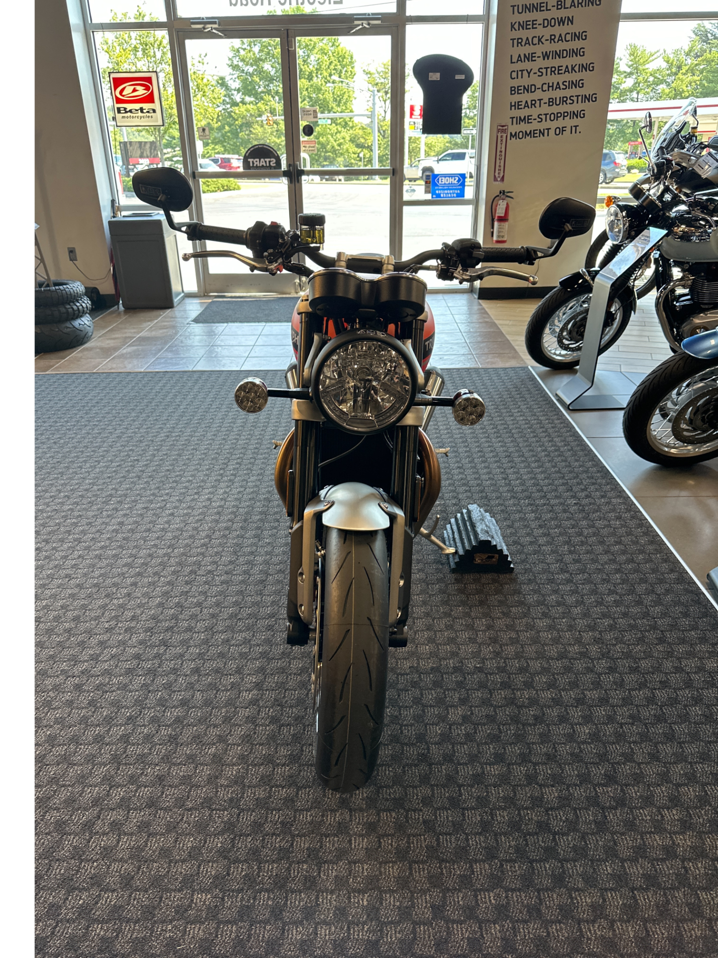 2023 Triumph Speed Twin 1200 in Salem, Virginia - Photo 3