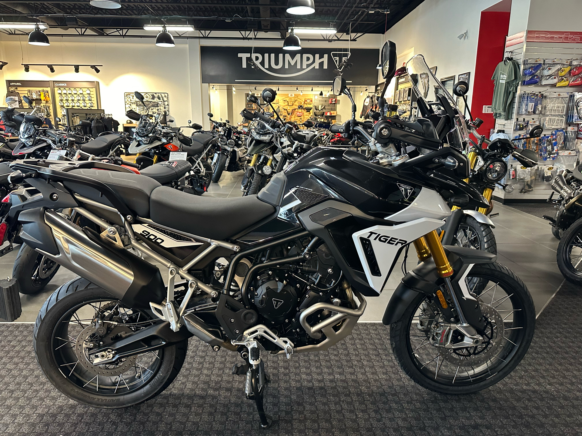 2024 Triumph Tiger 900 Rally Pro in Salem, Virginia - Photo 1