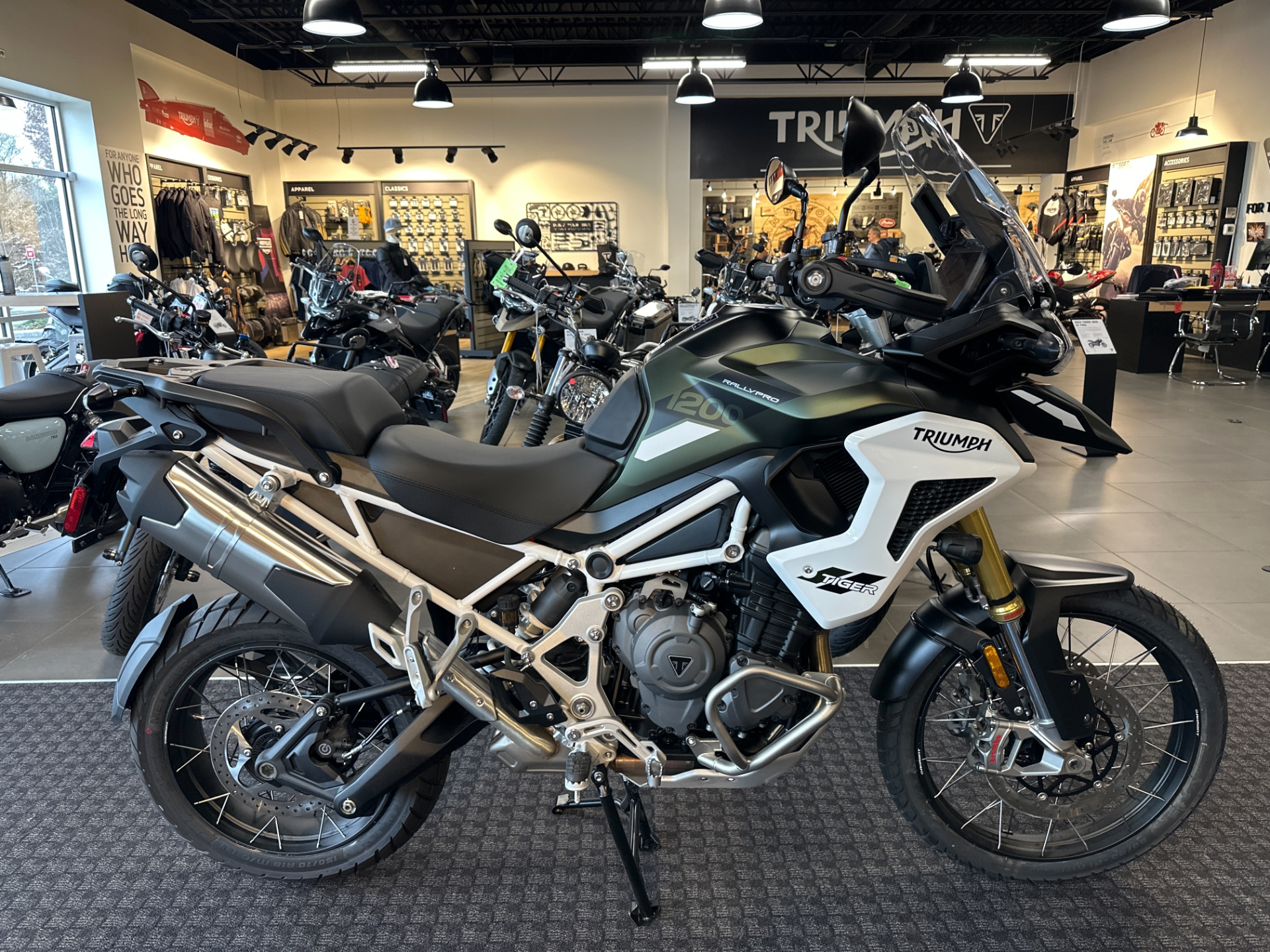 2023 Triumph Tiger 1200 Rally Pro in Salem, Virginia - Photo 1