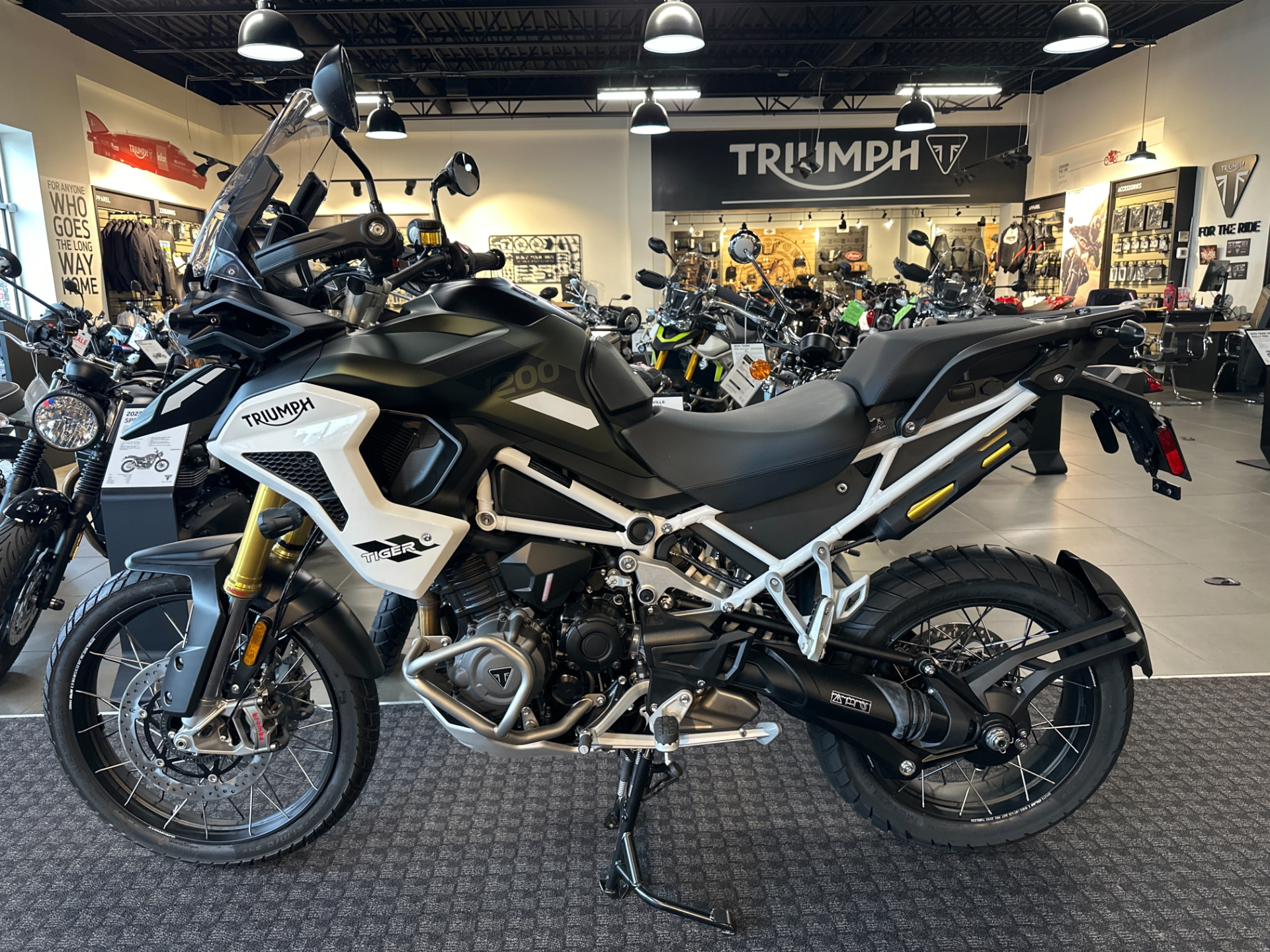 2023 Triumph Tiger 1200 Rally Pro in Salem, Virginia - Photo 2