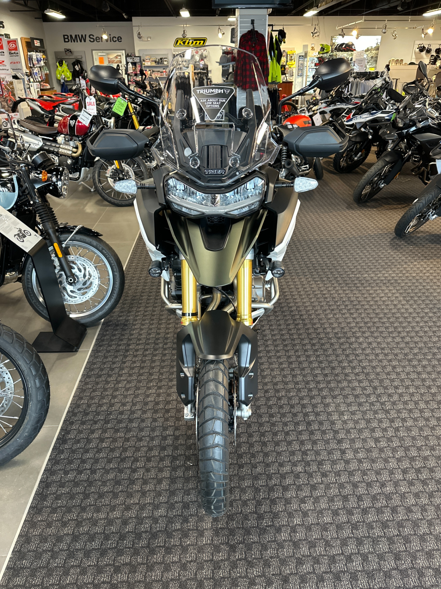 2023 Triumph Tiger 1200 Rally Pro in Salem, Virginia - Photo 3