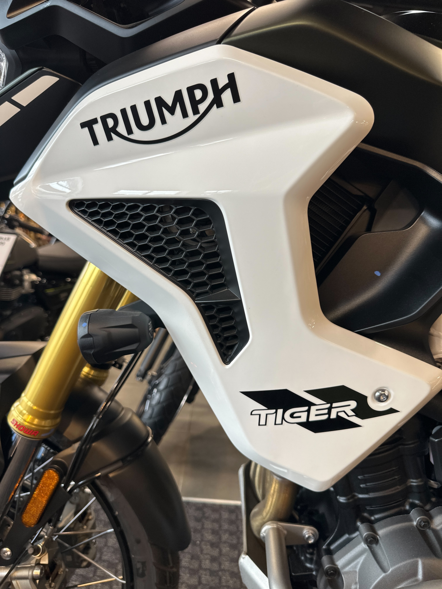 2023 Triumph Tiger 1200 Rally Pro in Salem, Virginia - Photo 5