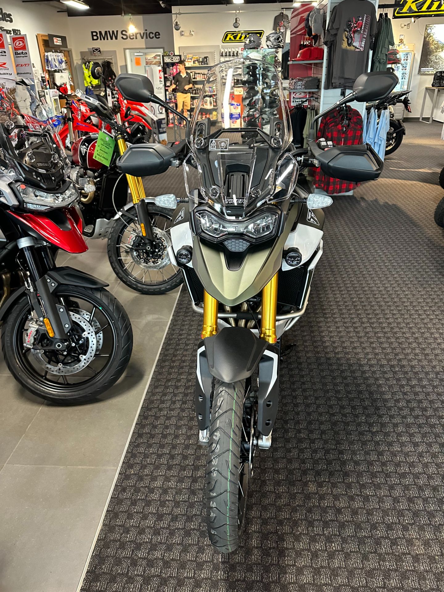 2024 Triumph Tiger 900 Rally Pro in Salem, Virginia - Photo 3