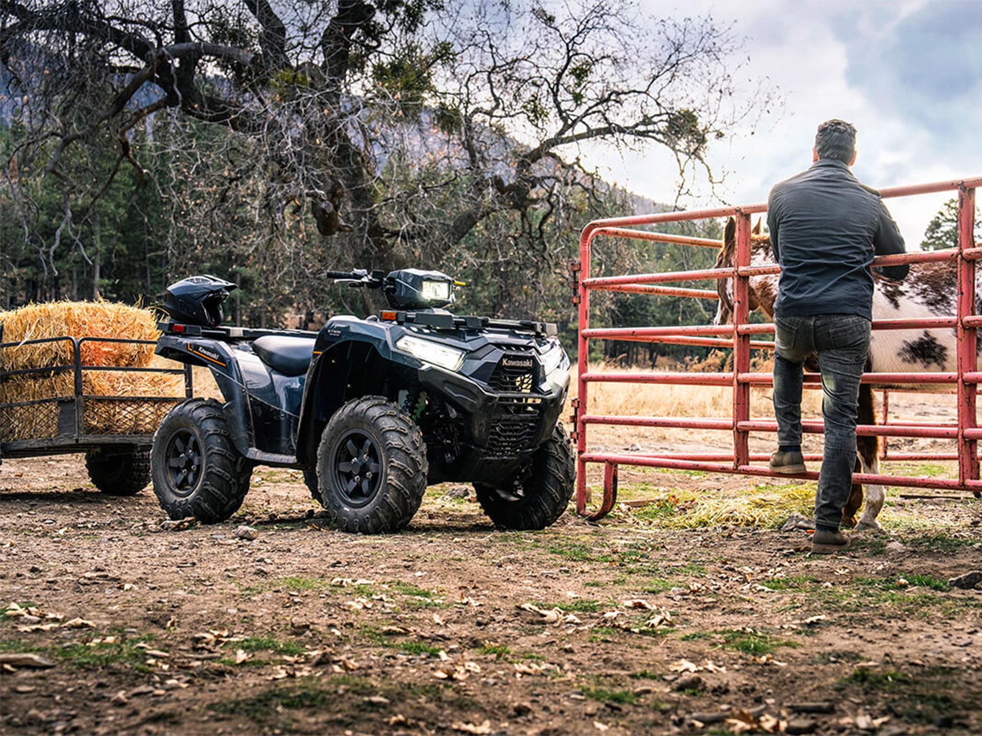 2024 Kawasaki Brute Force 750 EPS in La Marque, Texas - Photo 6