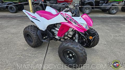 2023 Honda TRX250X in La Marque, Texas - Photo 1