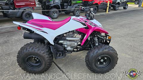 2023 Honda TRX250X in La Marque, Texas - Photo 2