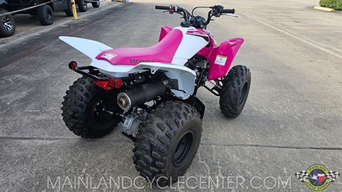 2023 Honda TRX250X in La Marque, Texas - Photo 3