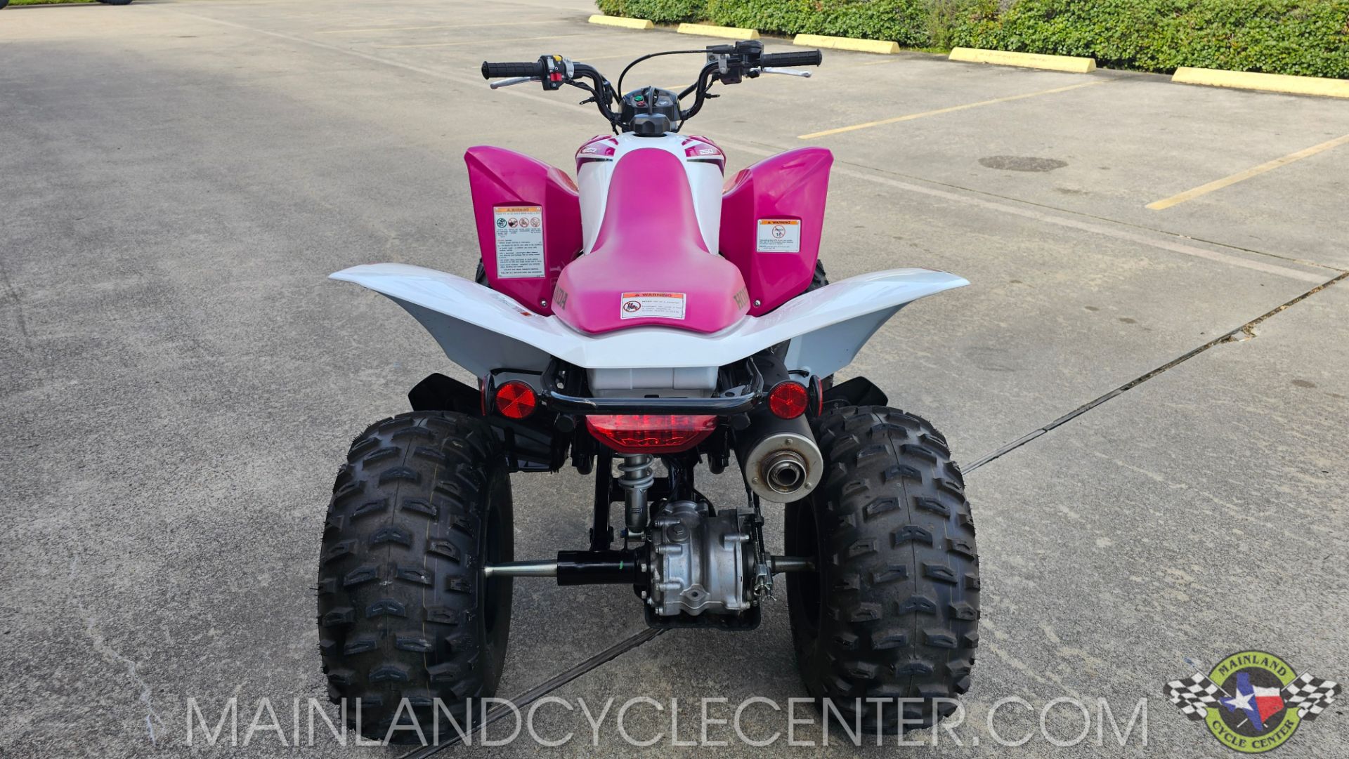 2023 Honda TRX250X in La Marque, Texas - Photo 4