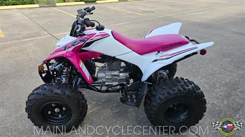 2023 Honda TRX250X in La Marque, Texas - Photo 5