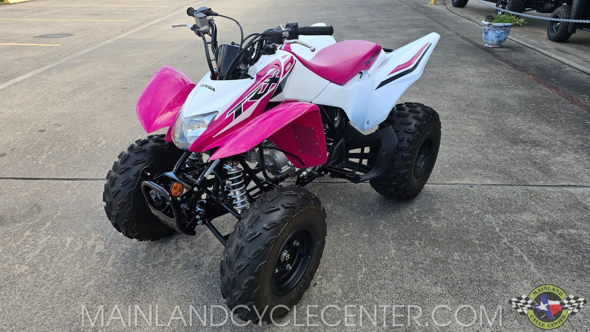 2023 Honda TRX250X in La Marque, Texas - Photo 6