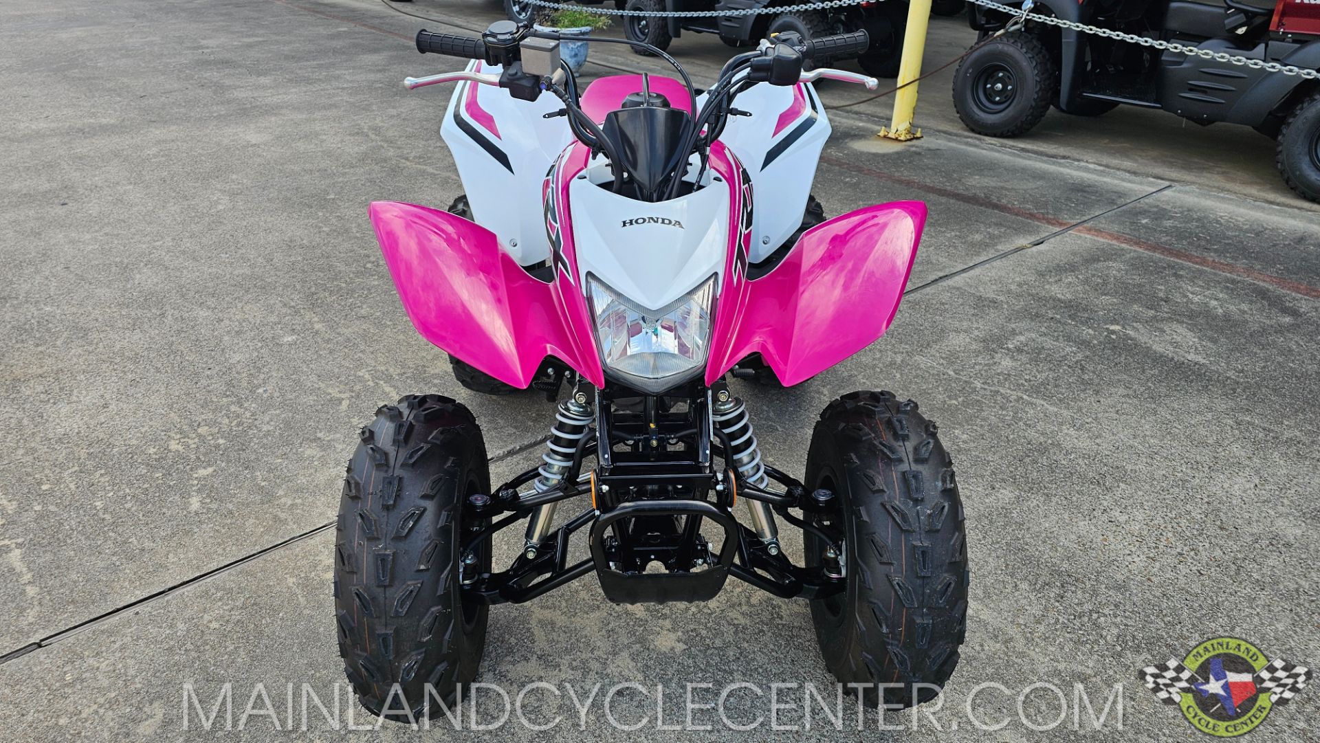 2023 Honda TRX250X in La Marque, Texas - Photo 7