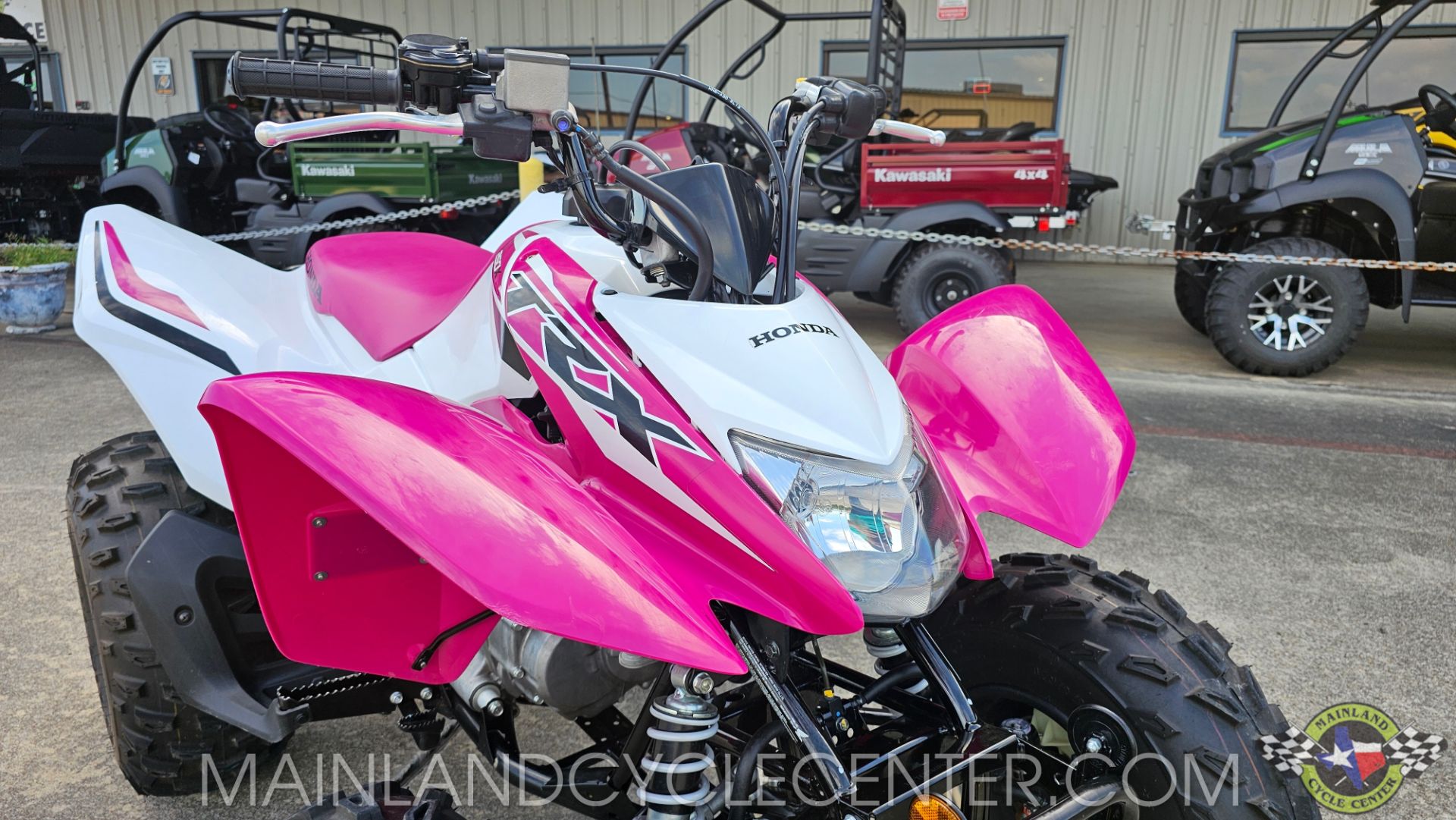 2023 Honda TRX250X in La Marque, Texas - Photo 8