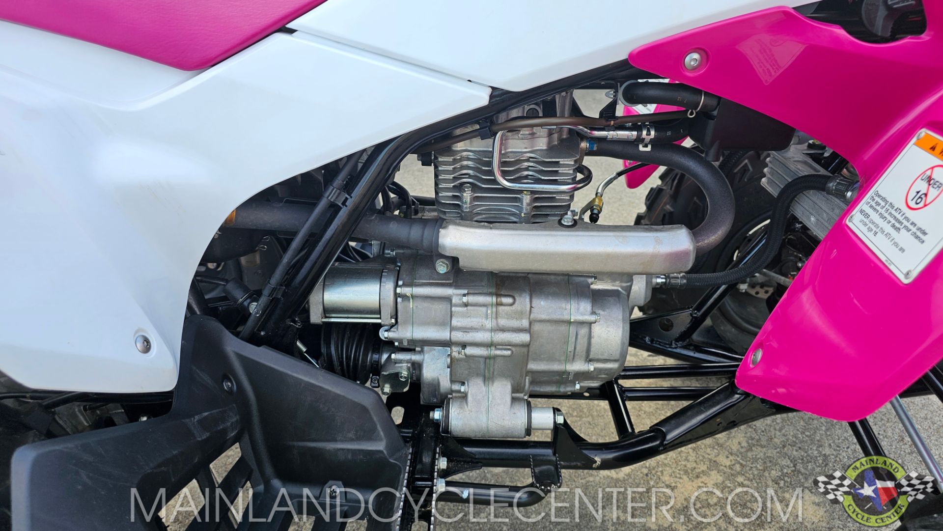 2023 Honda TRX250X in La Marque, Texas - Photo 9