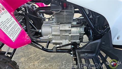 2023 Honda TRX250X in La Marque, Texas - Photo 13