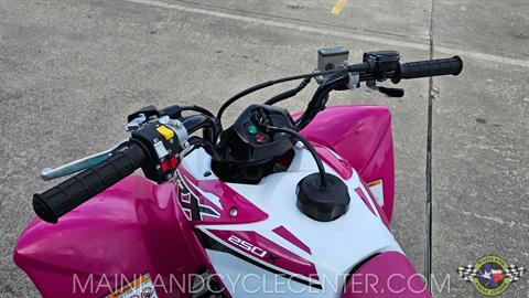 2023 Honda TRX250X in La Marque, Texas - Photo 14