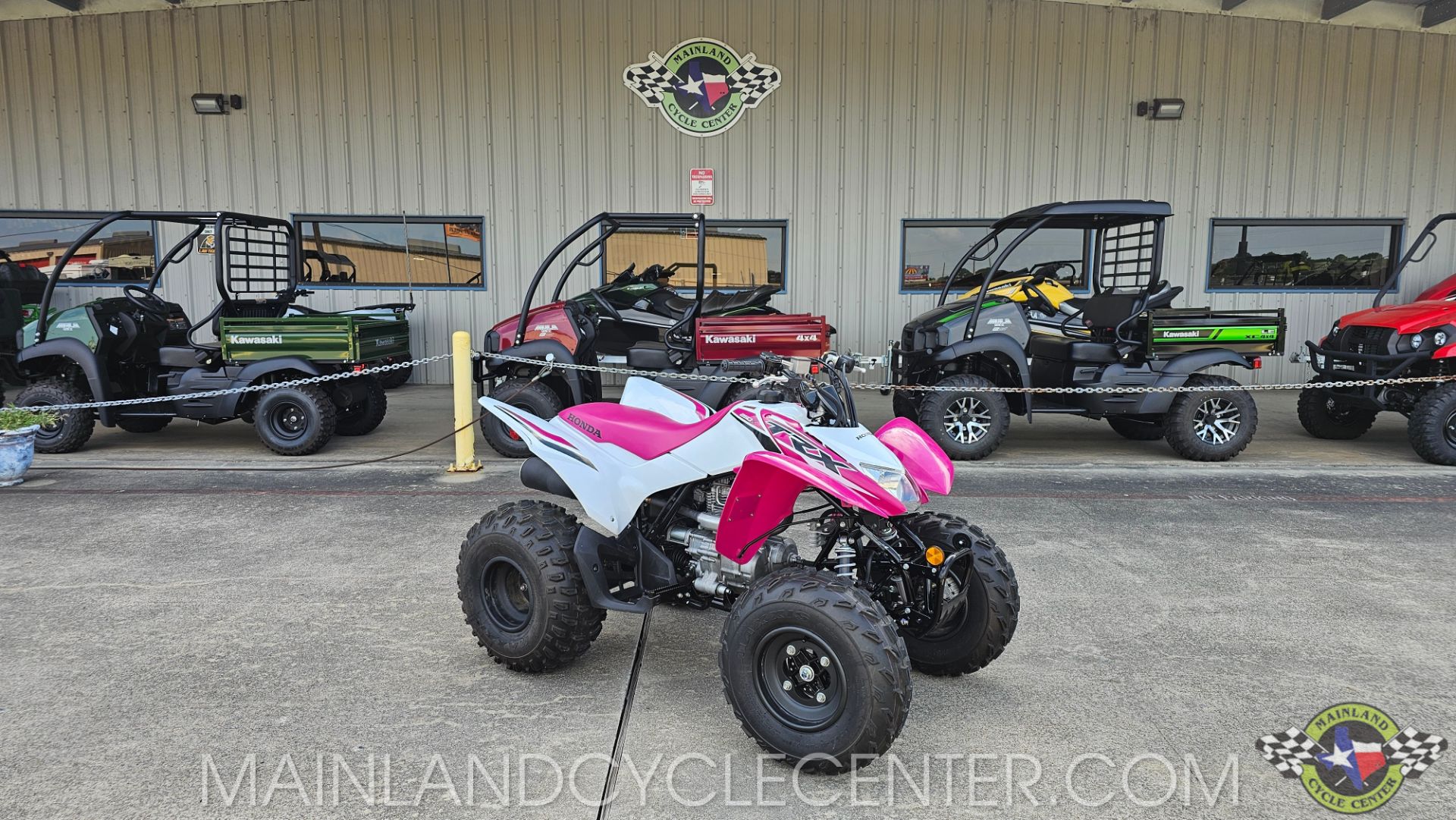 2023 Honda TRX250X in La Marque, Texas - Photo 21