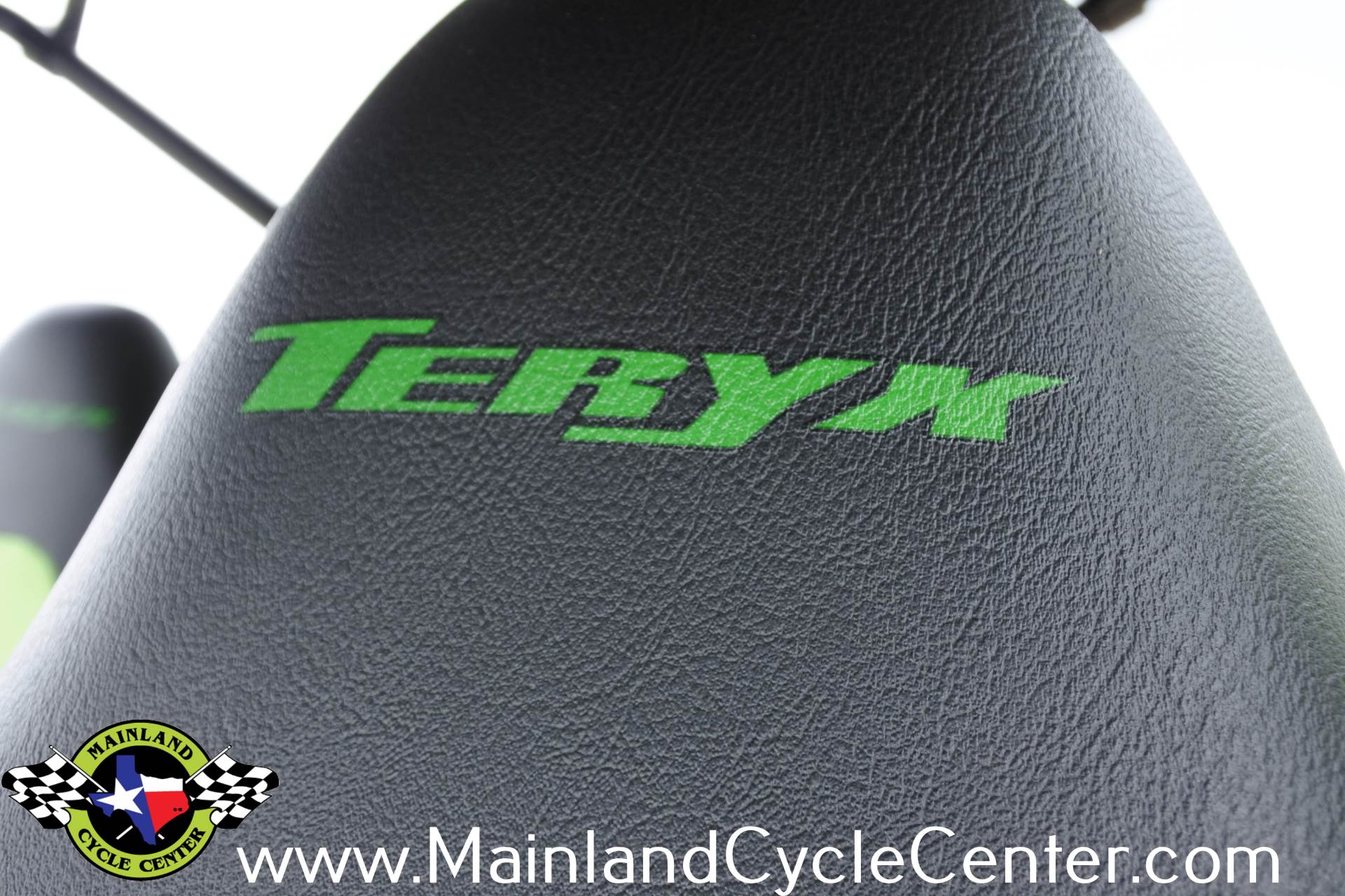 2018 Kawasaki Teryx4 LE Camo in La Marque, Texas - Photo 34