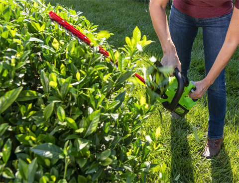2021 GREENWORKS Brushed Hedge Trimmer in Lancaster, South Carolina - Photo 5