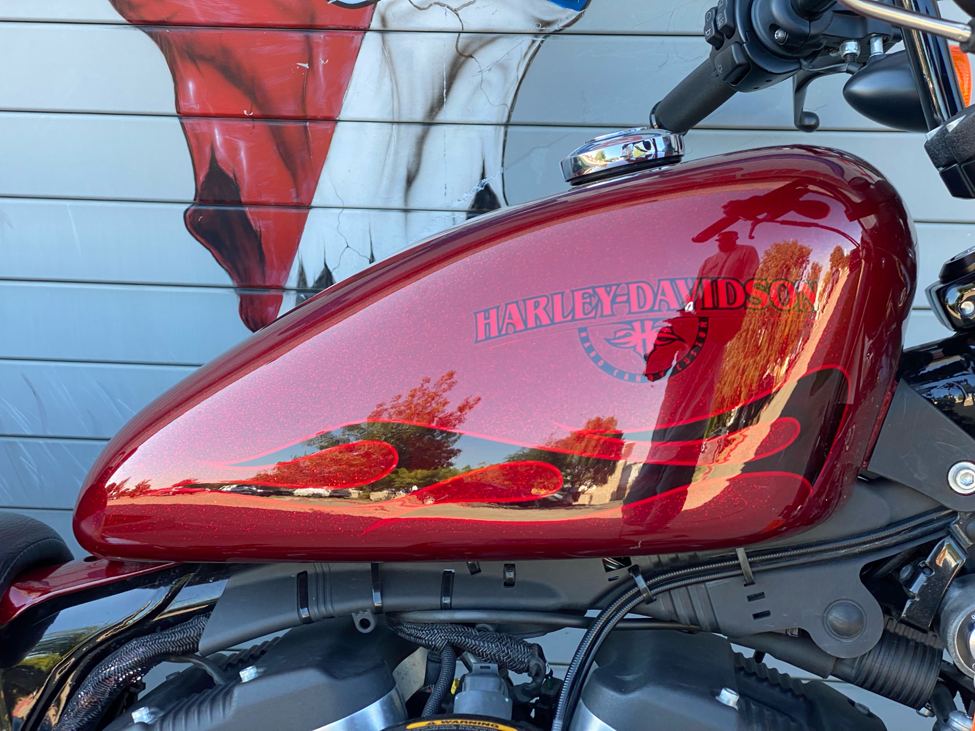 2017 Harley-Davidson Iron 883™ in Grand Prairie, Texas - Photo 18