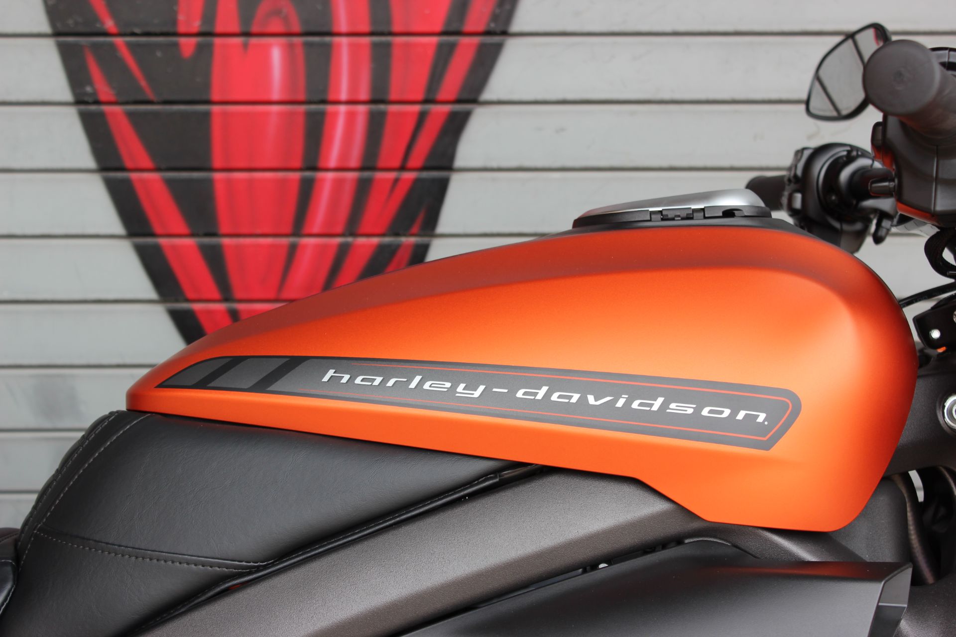 2020 Harley-Davidson Livewire™ in Carrollton, Texas - Photo 6