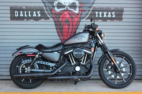2016 Harley-Davidson Iron 883™ in Carrollton, Texas - Photo 3