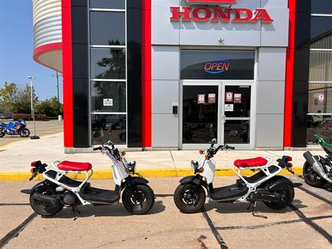 2020 Honda Ruckus in Mentor, Ohio - Photo 1