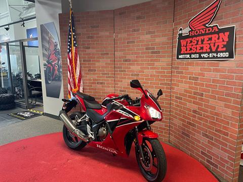 2019 Honda CBR300R in Mentor, Ohio - Photo 2
