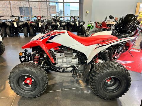 2024 Honda TRX250X in Mentor, Ohio