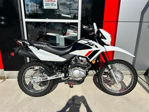 2023 Honda XR150L in Mentor, Ohio - Photo 1